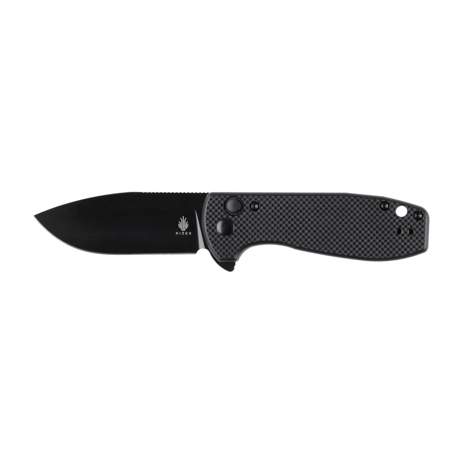 Kizer Amicus