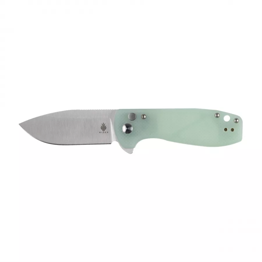 Kizer Amicus
