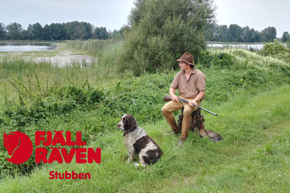 stubben kaczki