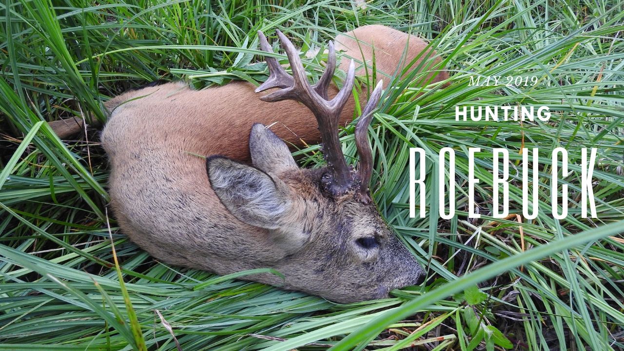 polowanie na kozły 2019