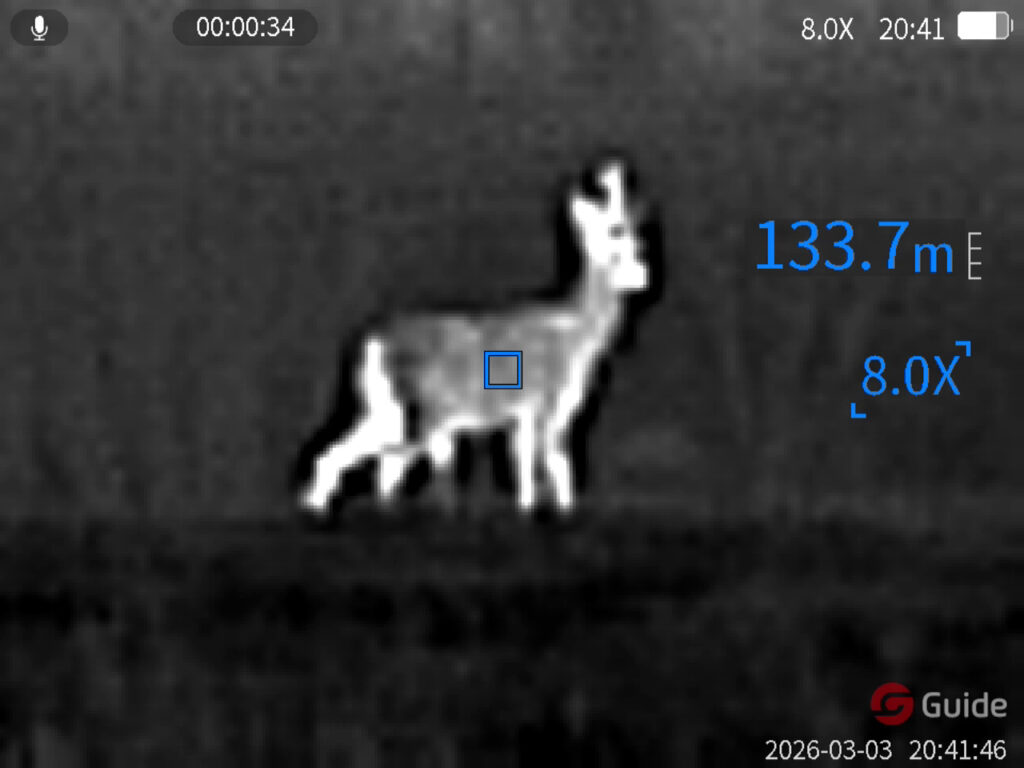 Rogacz z jednym parostkiem Guide TD653L