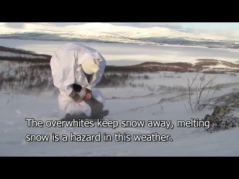 Polowanie na Pardwę górską